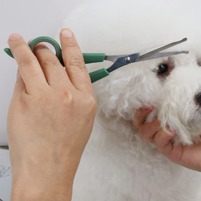 Het belang van het gebruik van een huisdiertrimmerschaar